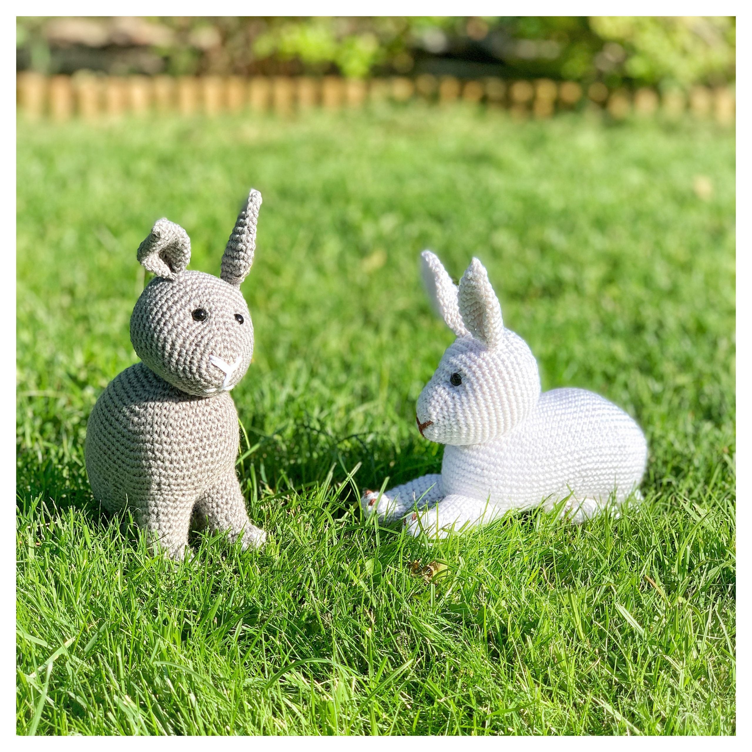 whitagram image 3