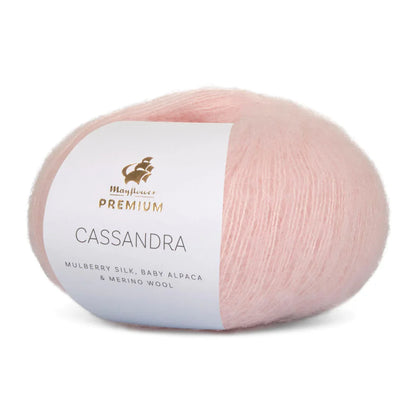 Premium Cassandra - bundle