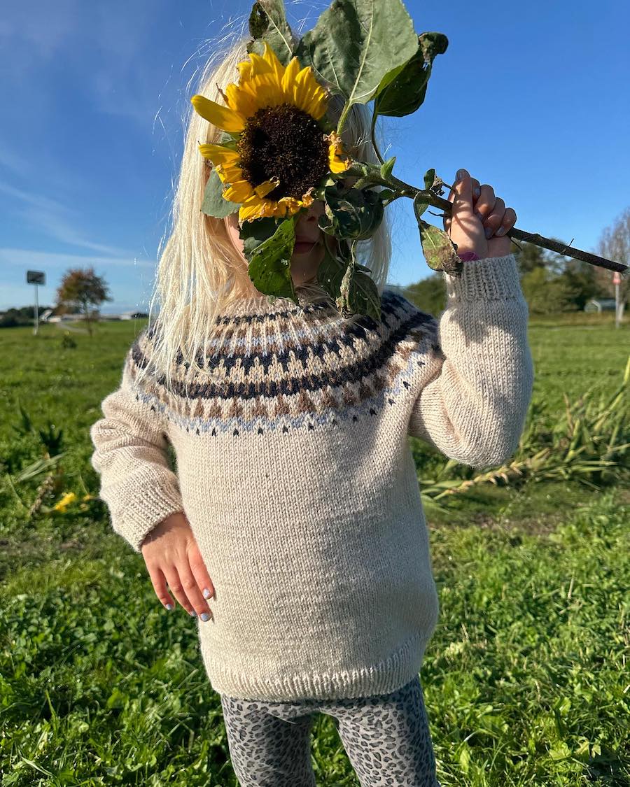 Celeste Sweater junior Strikkekit - Petiteknit