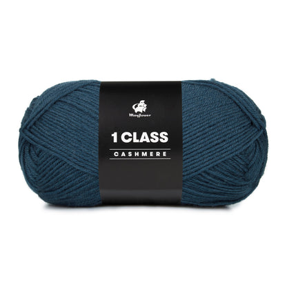 1 Class cashmere