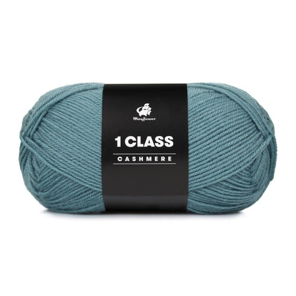 1 Class cashmere