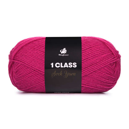 1 Class - bundle
